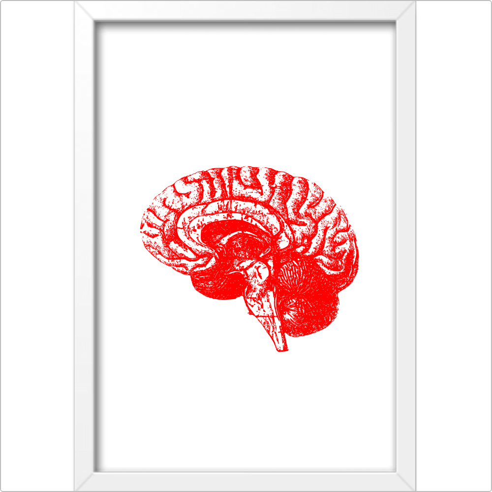Quadro Decorativo - Neuro: sagital vermelho