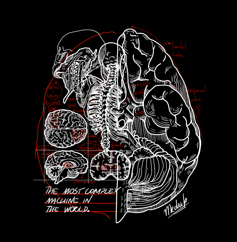 Camiseta - Neurocirurgia: The most complex machine