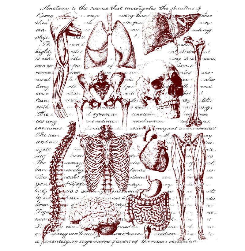 Moletom Suéter - Anatomia