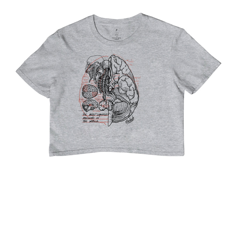 Cropped - Neurocirurgia