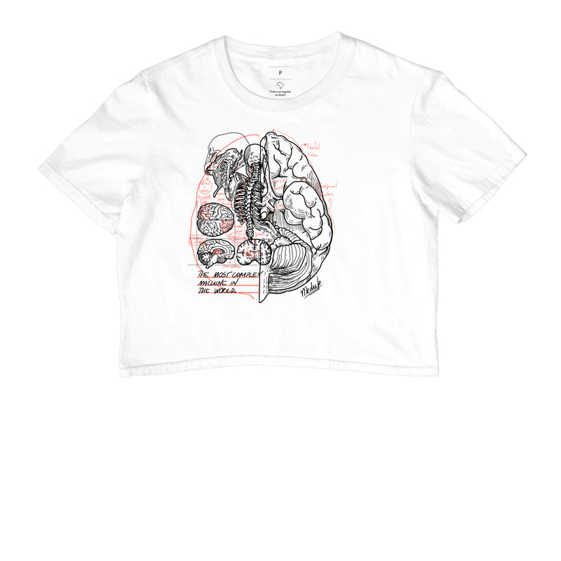 Cropped - Neurocirurgia