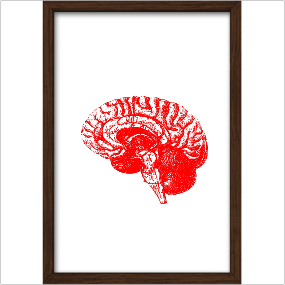 Quadro Decorativo - Neuro: sagital vermelho